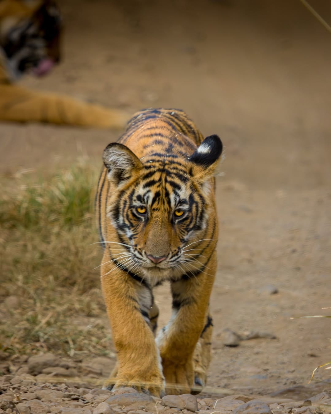 Post 2 by Hitesh Chawla on Instagram (carousel)