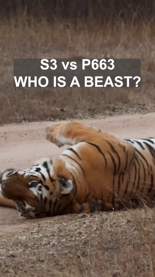 Post 4 by Hitesh Chawla on Instagram (video)