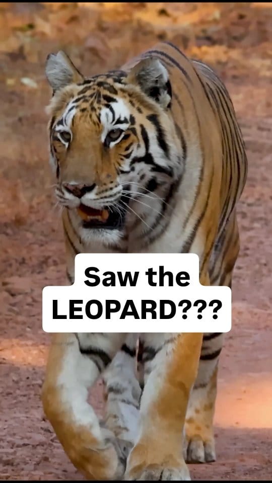 Post 6 by Hitesh Chawla on Instagram (video)