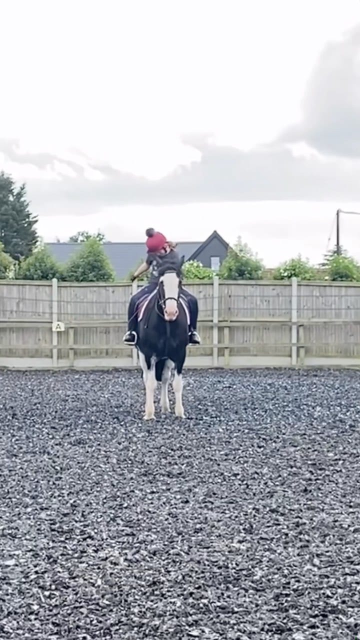 Post 4 by - on Instagram (video)