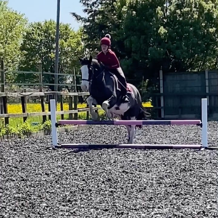 Post 8 by - on Instagram (video)
