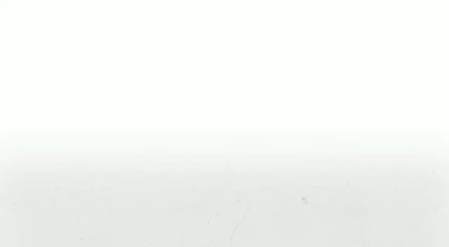Post 8 by ARMIN SALEHI on Instagram (video)