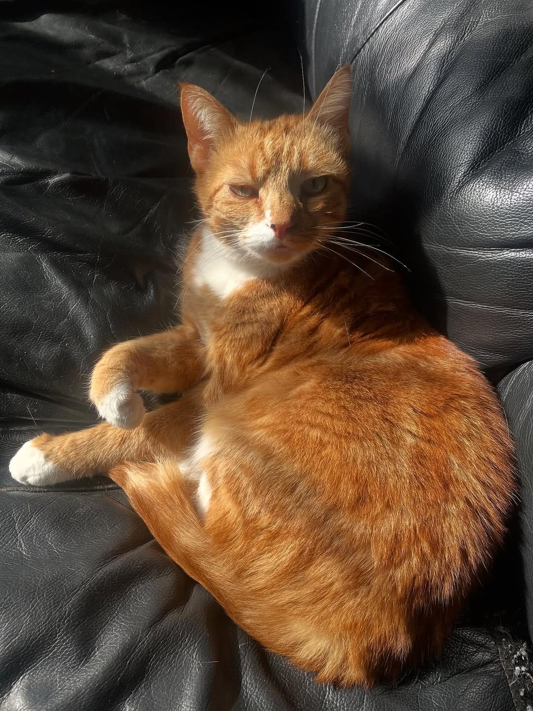 Post 2 by Zoe The Ginger Ninja on Instagram (image)