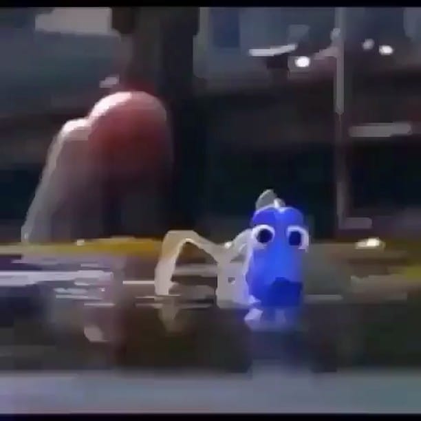 Post 9 by @alexrheaa on Instagram (video)