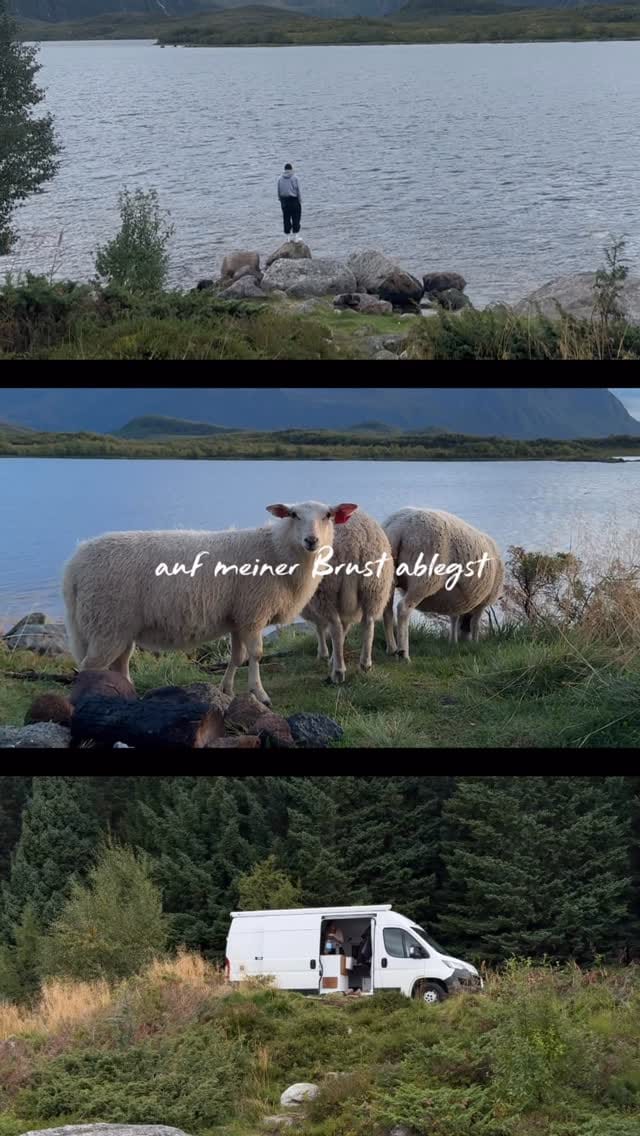Post 6 by COLLIN on Instagram (video)
