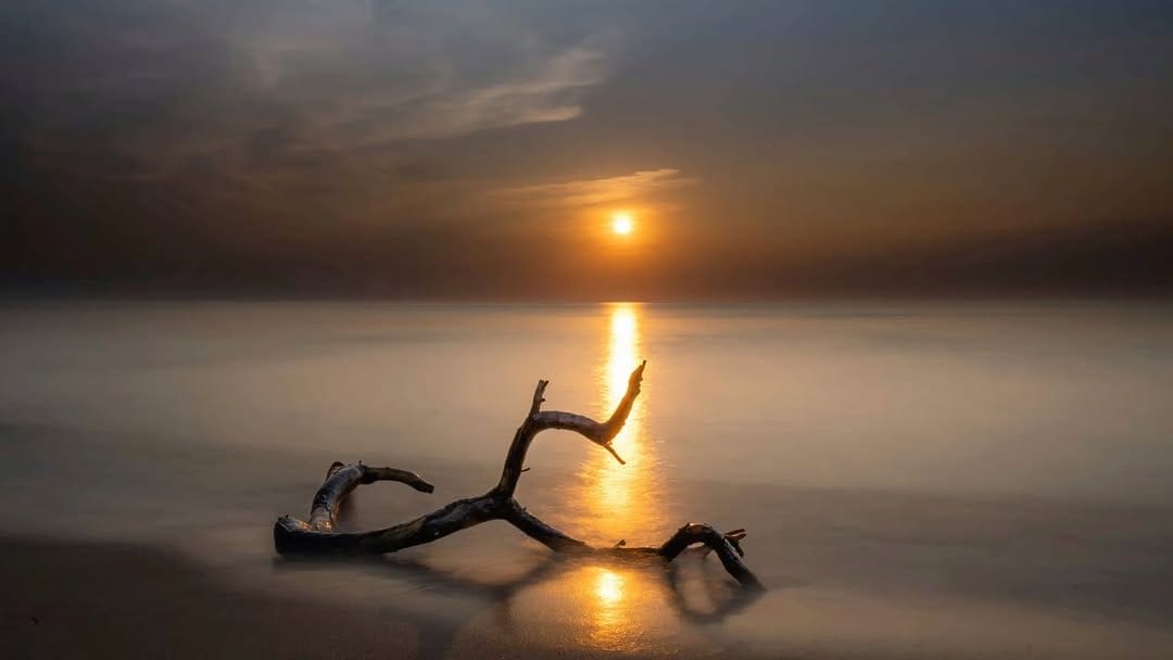 Post 10 by Heike Hechelmann on Instagram (video)