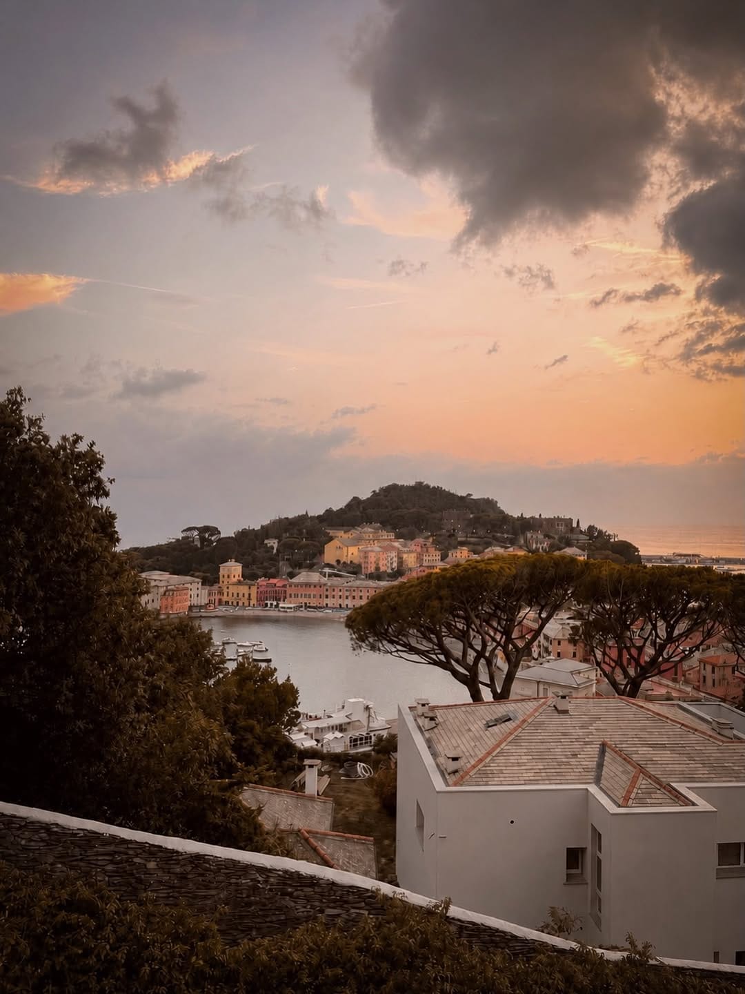 Post 7 by Walter Pasquali on Instagram (image)