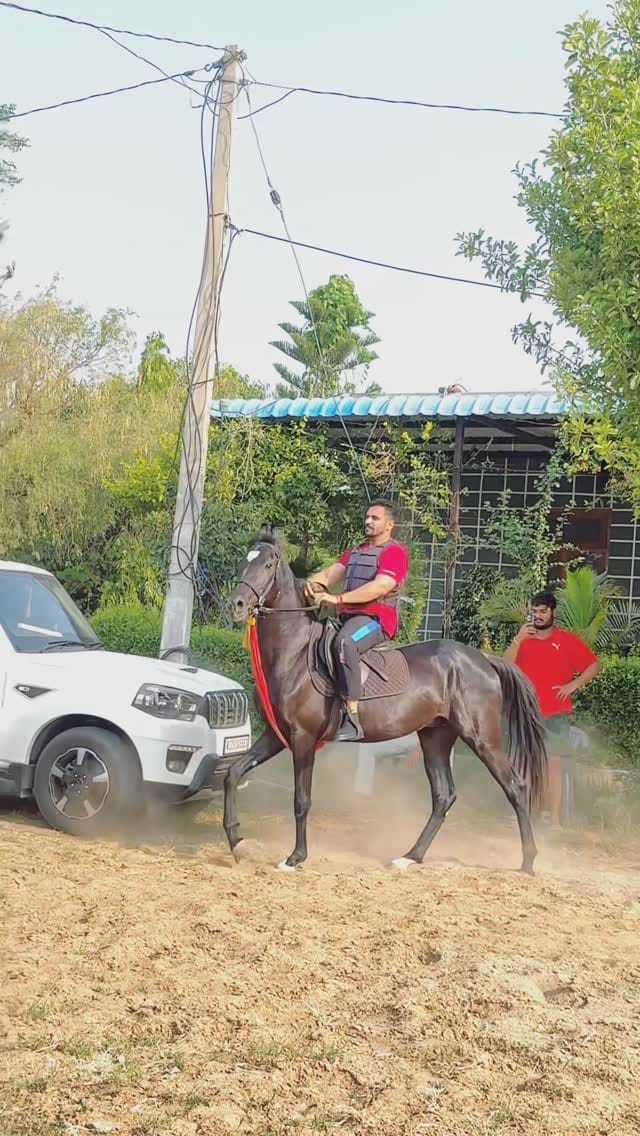 Post 6 by Mukul Singh Khichar 3121 on Instagram (video)