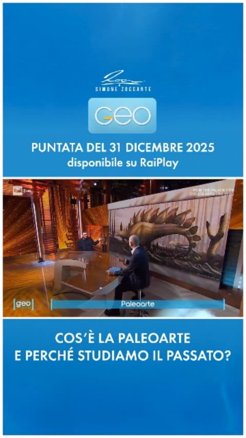 Post 8 by Simone Zoccante on Instagram (video)