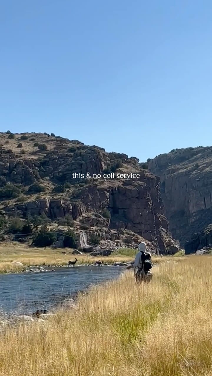 Post 10 by Emily Kate Kraft☻☀️ on Instagram (video)