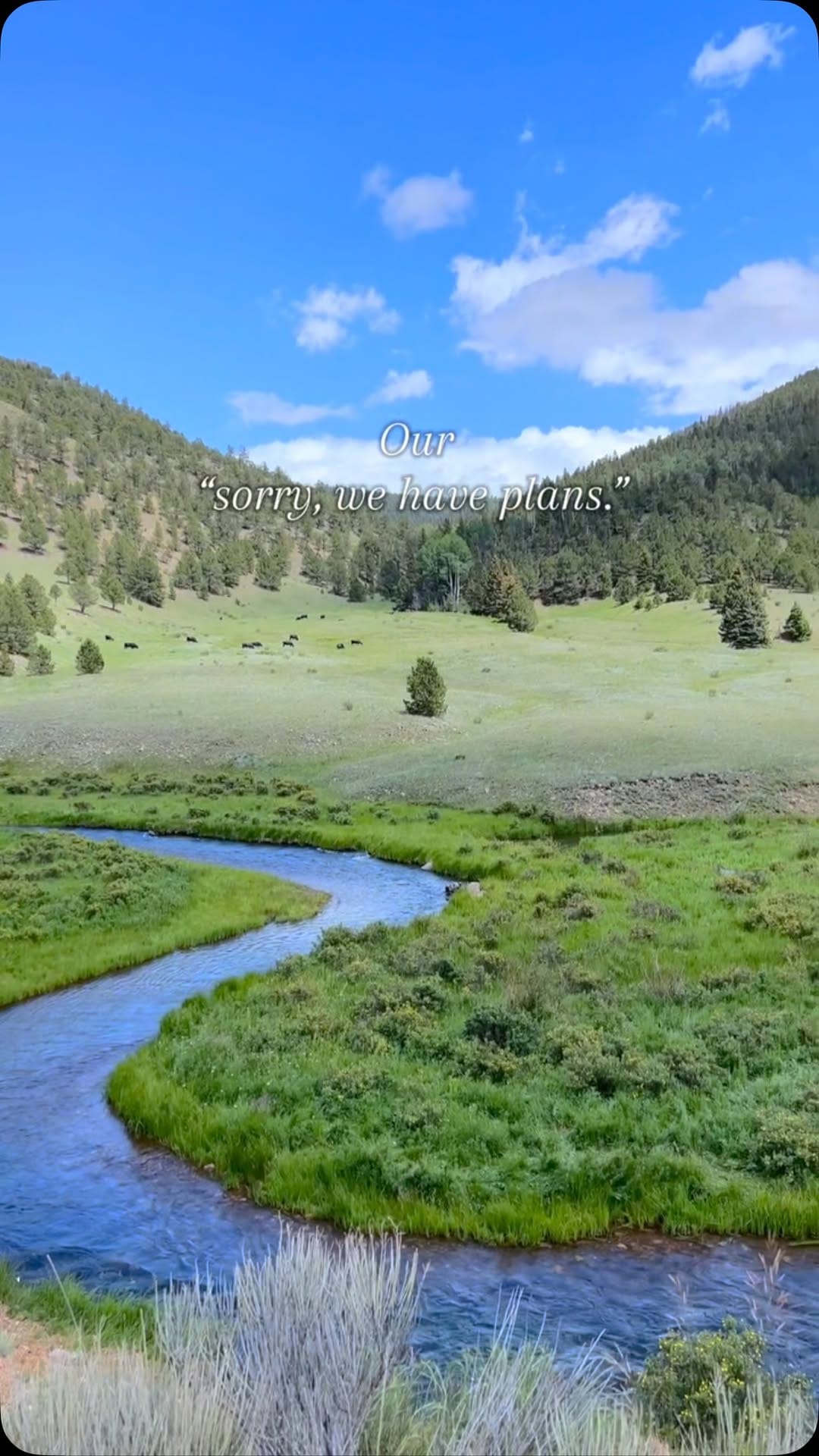 Post 9 by Emily Kate Kraft☻☀️ on Instagram (video)