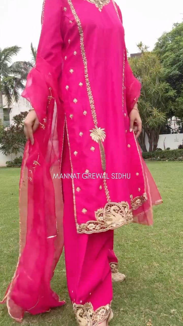 Post 7 by MANNAT GREWAL SIDHU on Instagram (video)