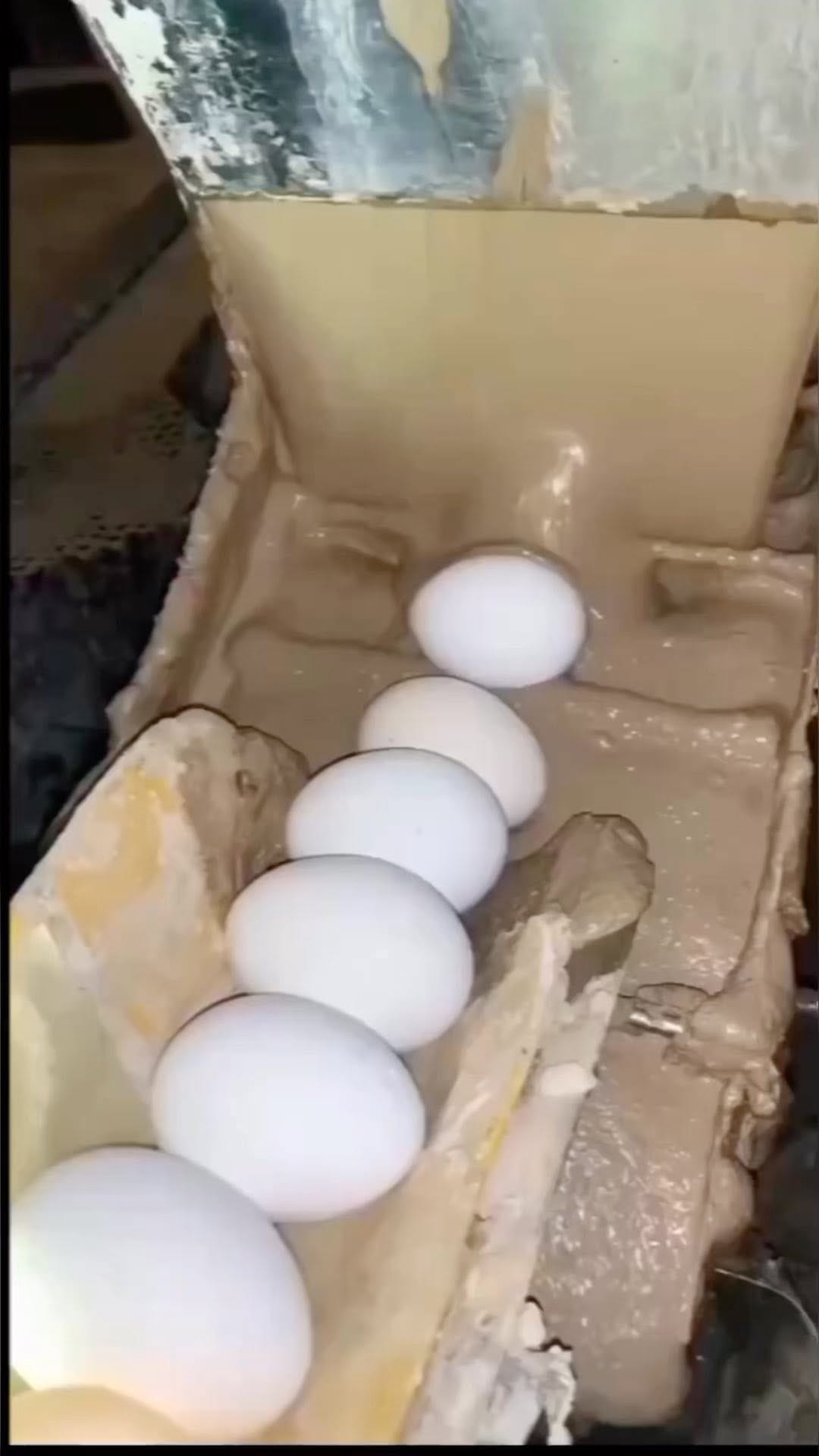 Post 10 by آنی پز / آموزش / غذای خانگی on Instagram (video)