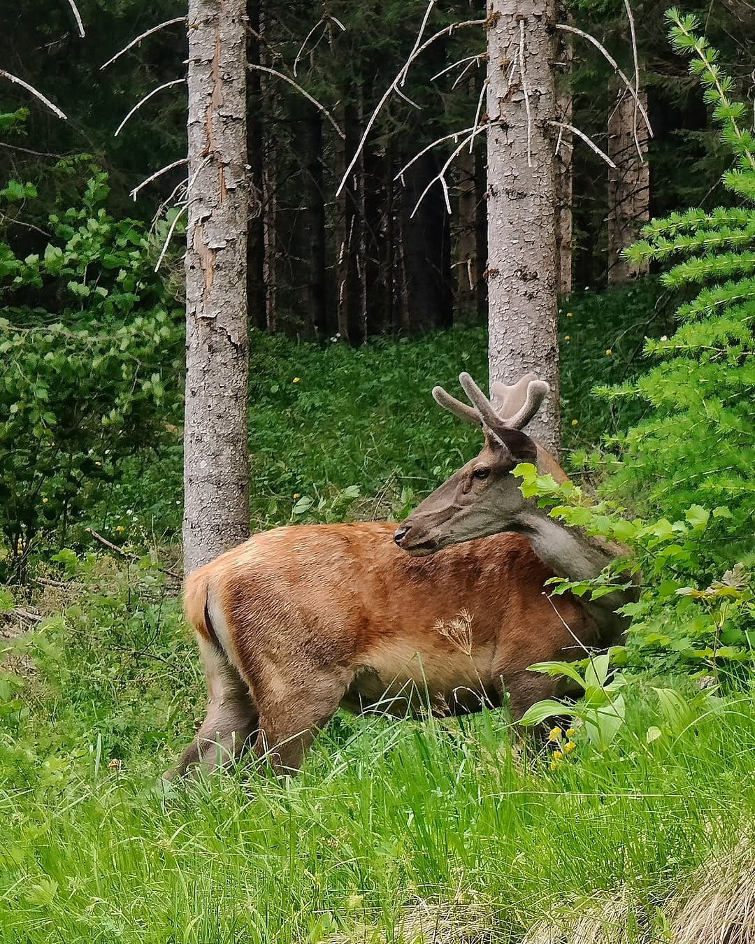 Post 3 by Nicholas De Min on Instagram (image)