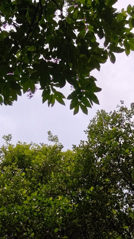 Post 5 by Nikita S on Instagram (video)
