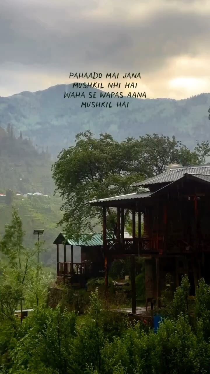 Post 1 by 𝐏𝐎𝐎𝐉𝐀 𝐋𝐀𝐌𝐁𝐀🧿 on Instagram (video)