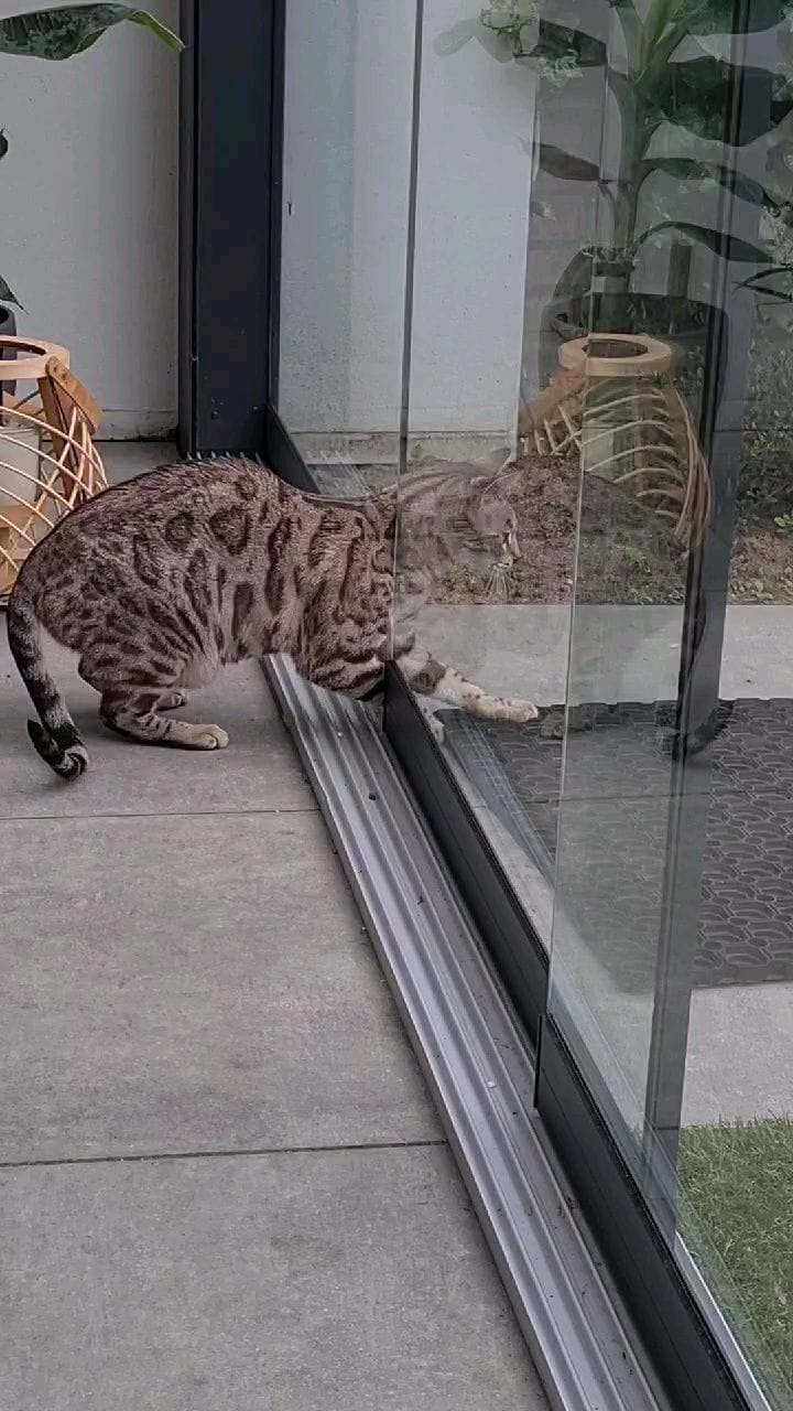 Post 6 by Cat duo on adventures on Instagram (video)