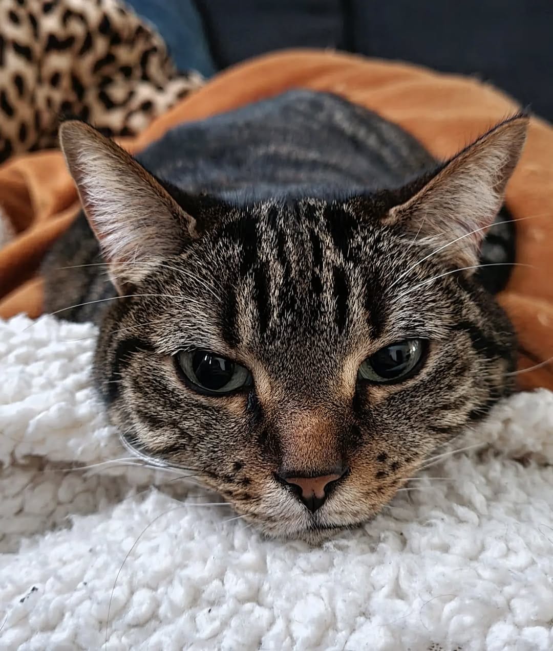Post 2 by Cat duo on adventures on Instagram (image)