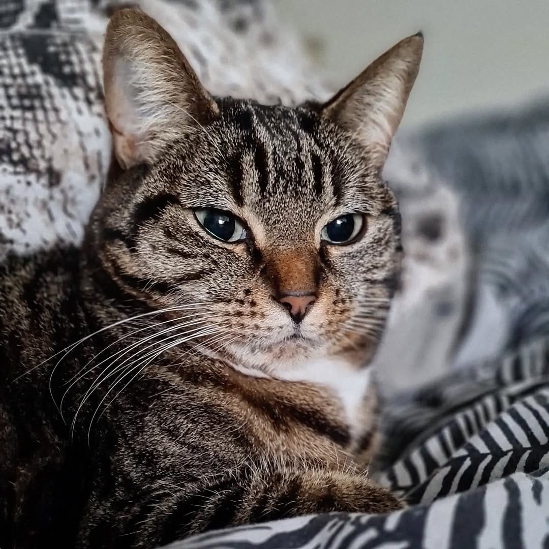 Post 4 by Cat duo on adventures on Instagram (image)
