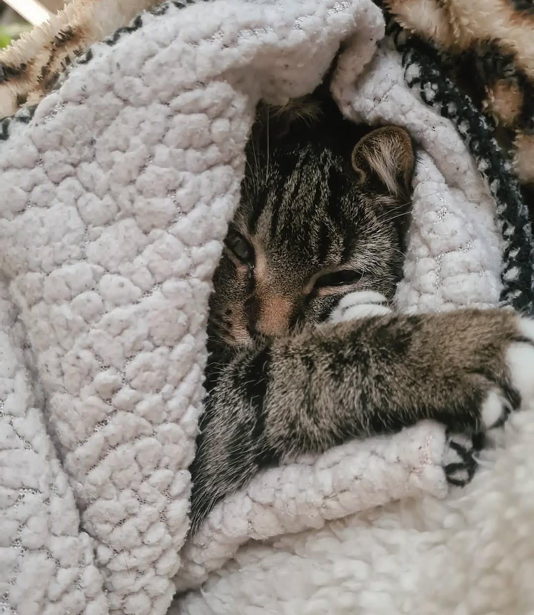 Post 5 by Cat duo on adventures on Instagram (image)