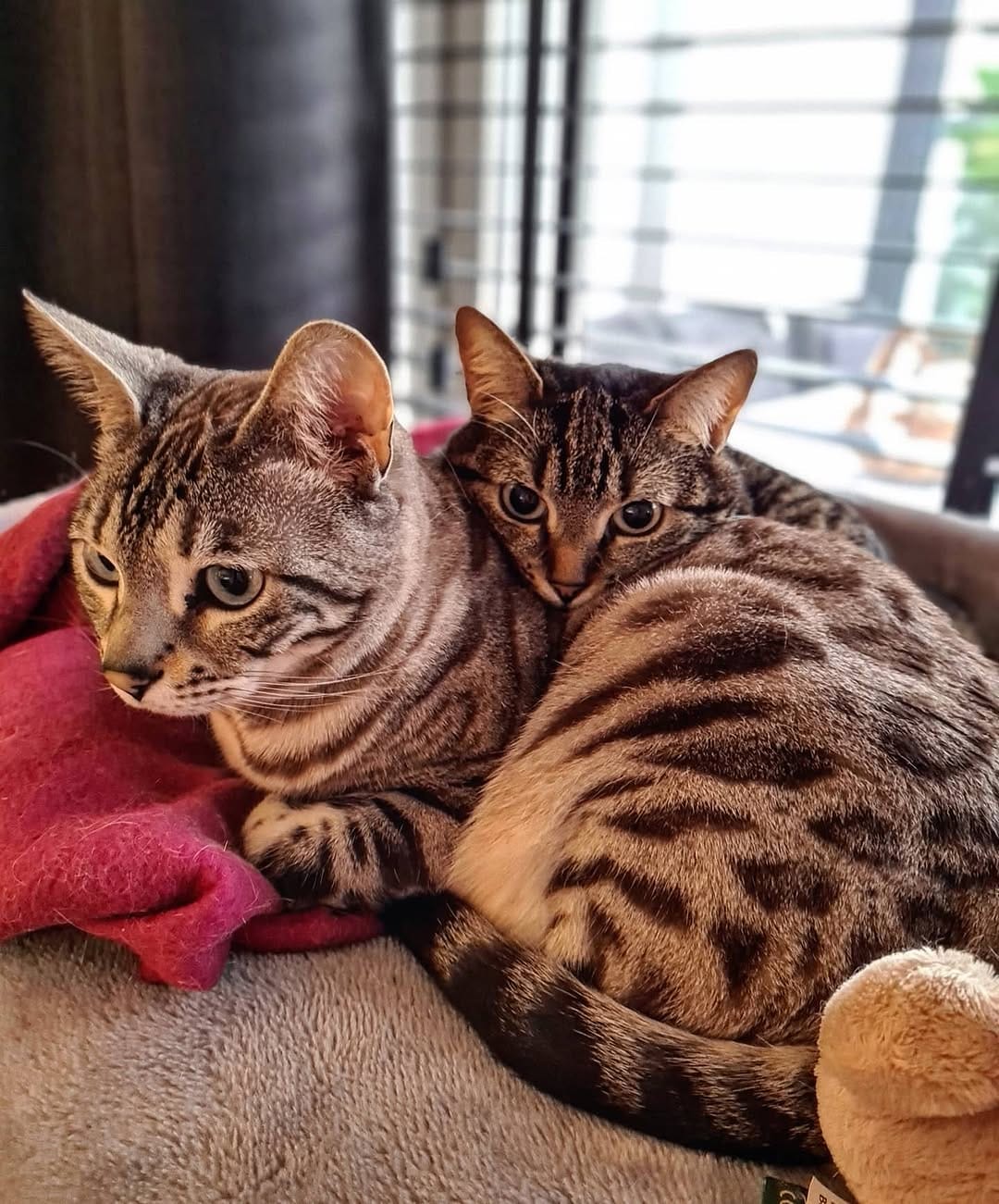 Post 7 by Cat duo on adventures on Instagram (image)
