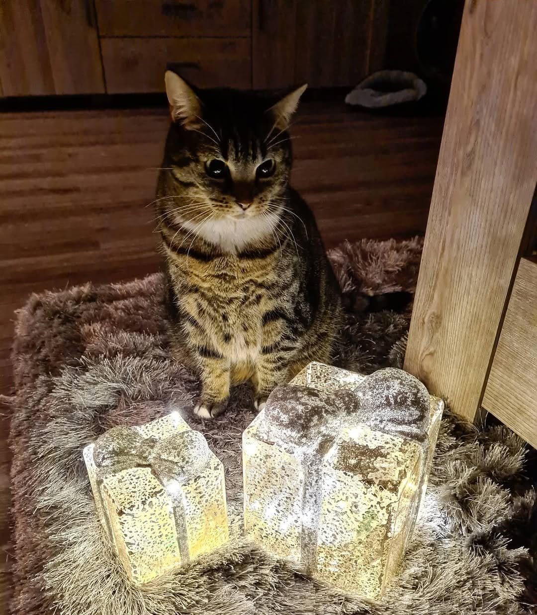 Post 8 by Cat duo on adventures on Instagram (image)