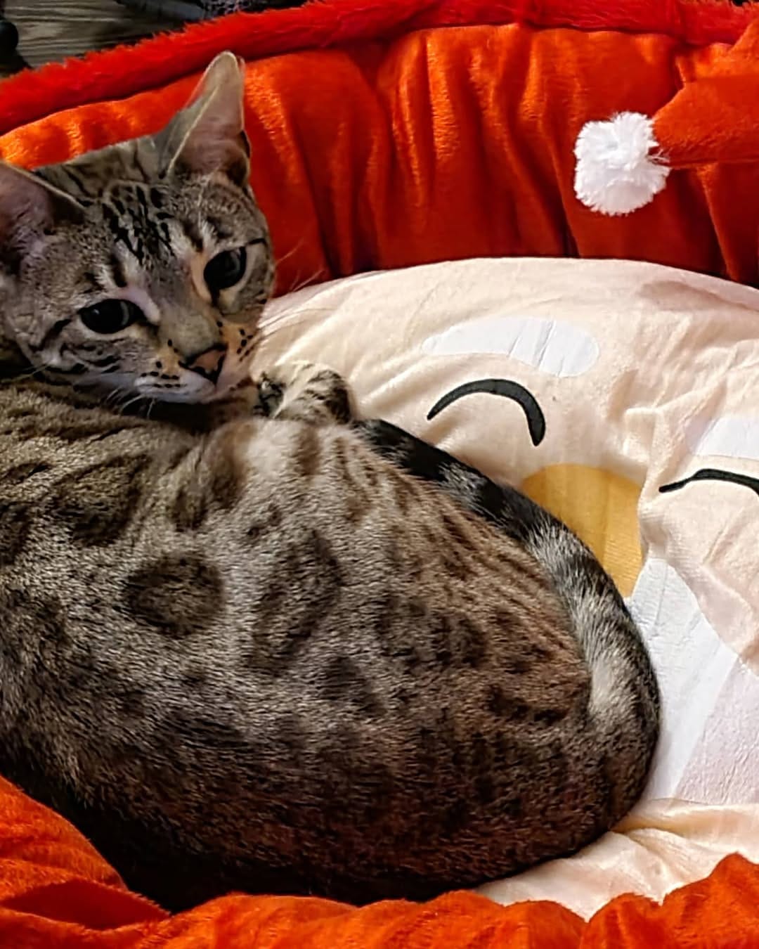 Post 9 by Cat duo on adventures on Instagram (carousel)