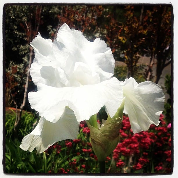 Post 4 by Linda on Instagram (image)
