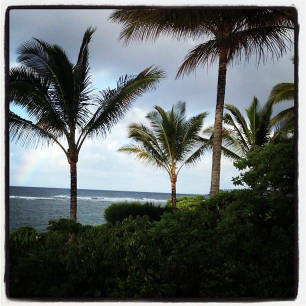 Post 3 by Linda on Instagram (image)