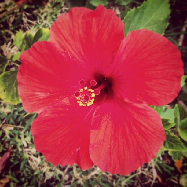 Post 2 by Linda on Instagram (image)