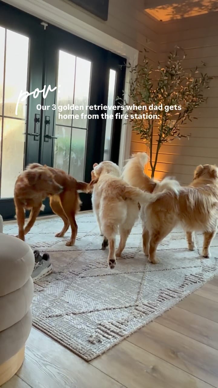 Post 1 by Holley Gabrielle Rojek on Instagram (video)