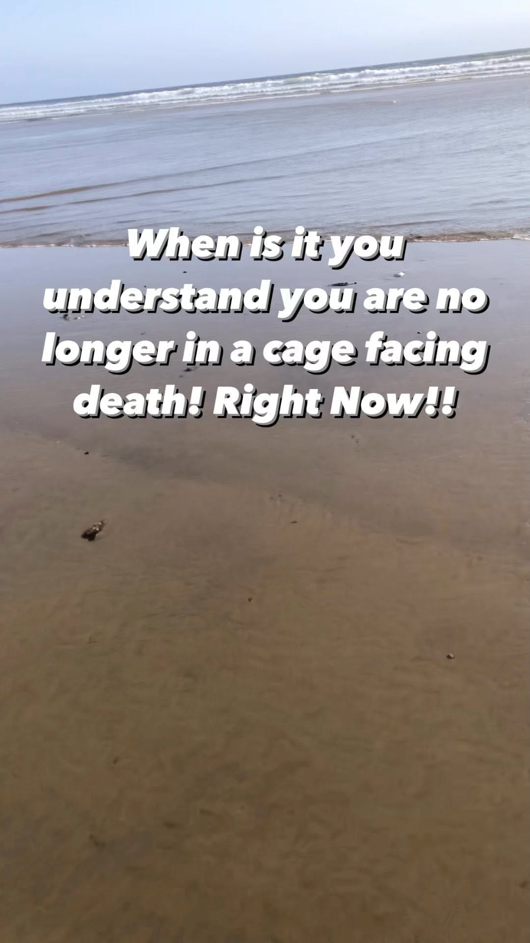 Post 5 by Chris Welch on Instagram (video)