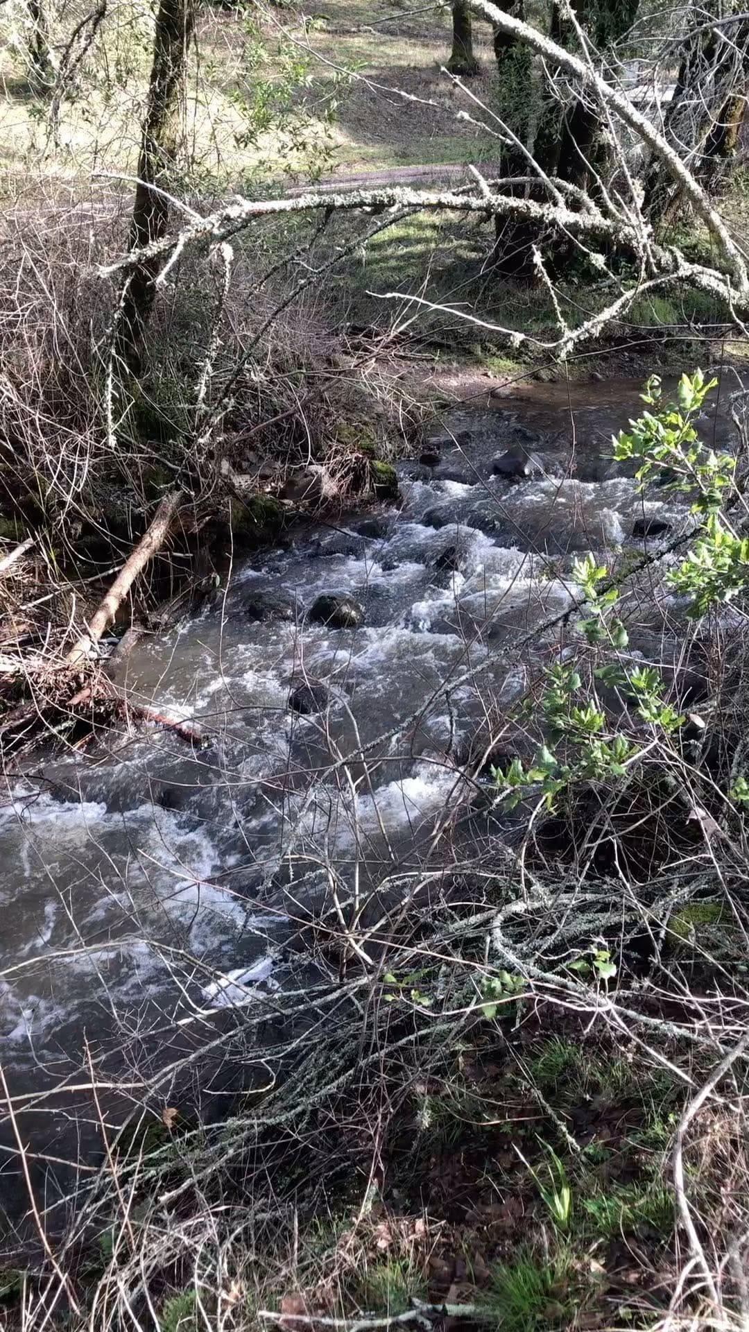 Post 6 by Chris Welch on Instagram (video)
