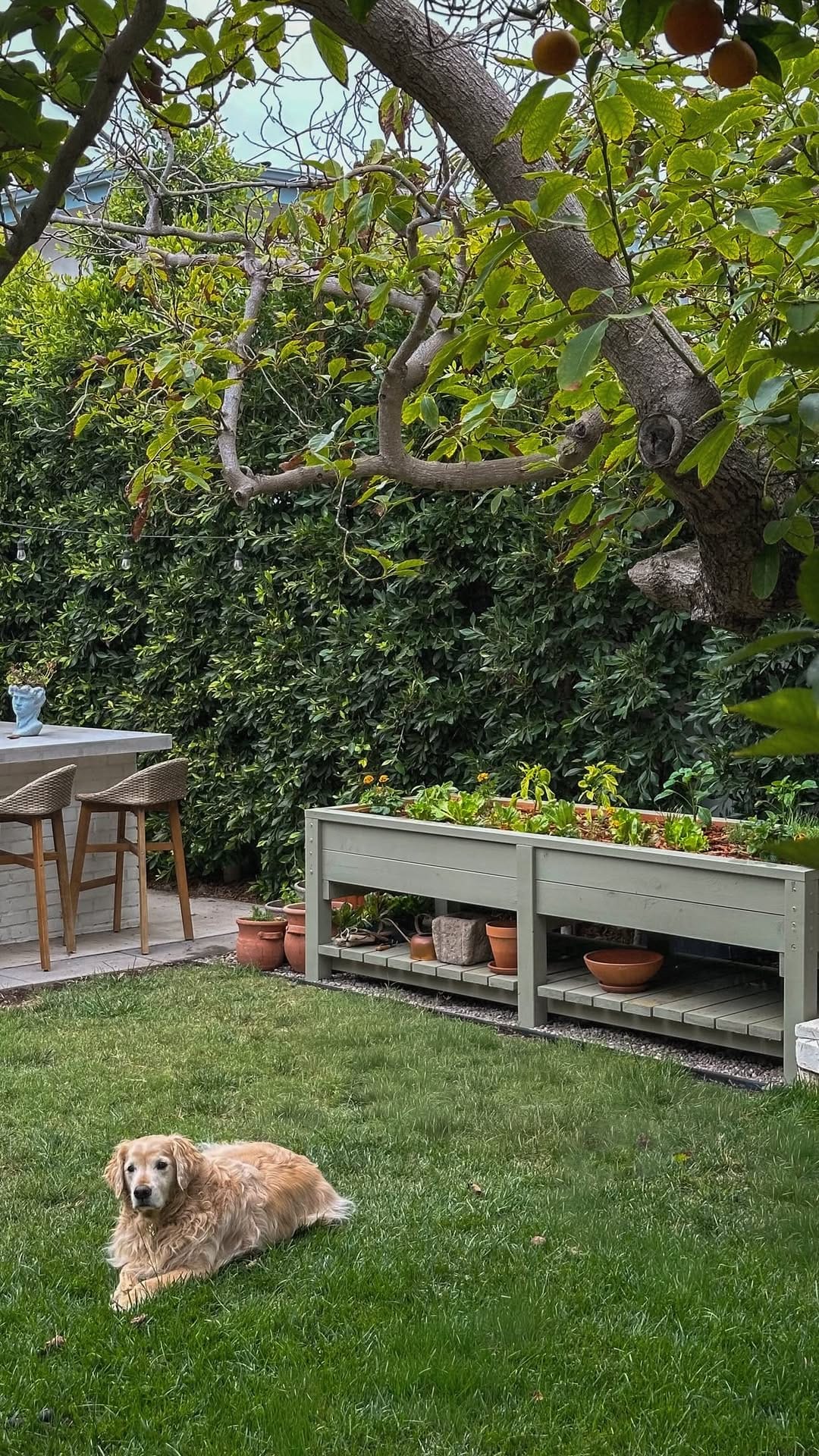 Post 7 by Liz Lovery | Design, DIY, & Home on Instagram (video)