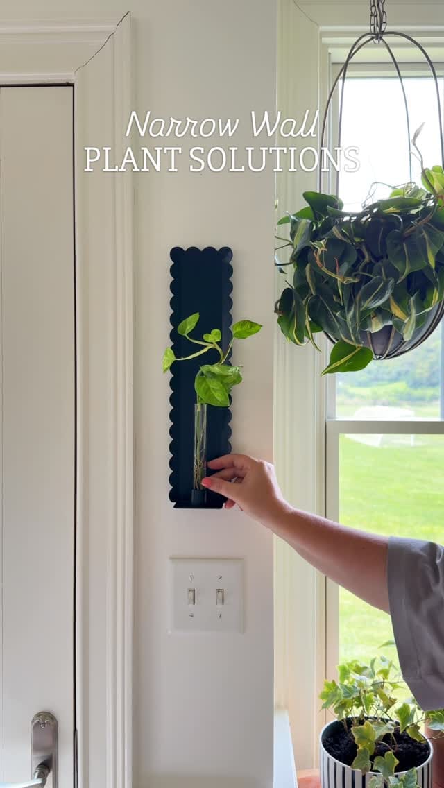 Post 8 by Lorri Zander on Instagram (video)