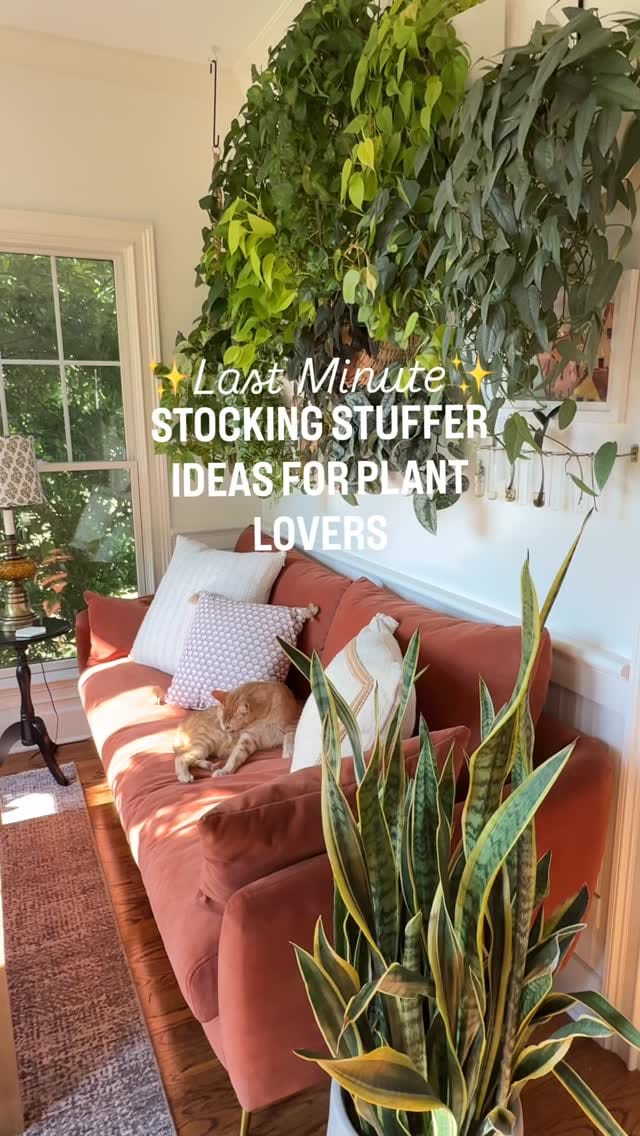 Post 7 by Lorri Zander on Instagram (video)