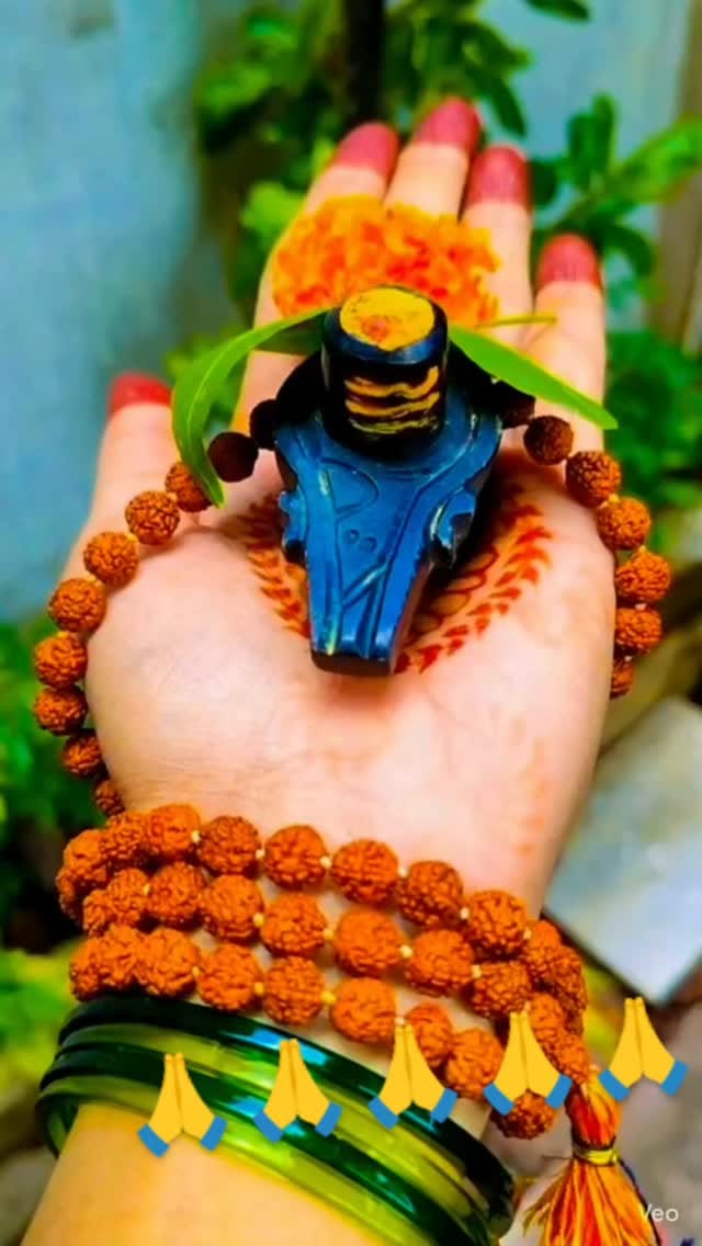 Post 4 by Shristi Angle on Instagram (video)