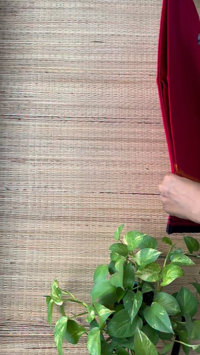 Post 6 by House Of Dhara on Instagram (video)
