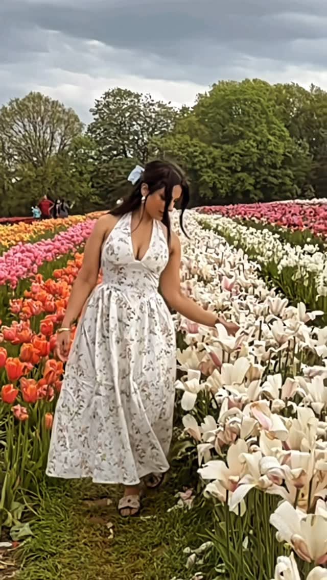 Post 4 by Lavina Chattrani on Instagram (video)