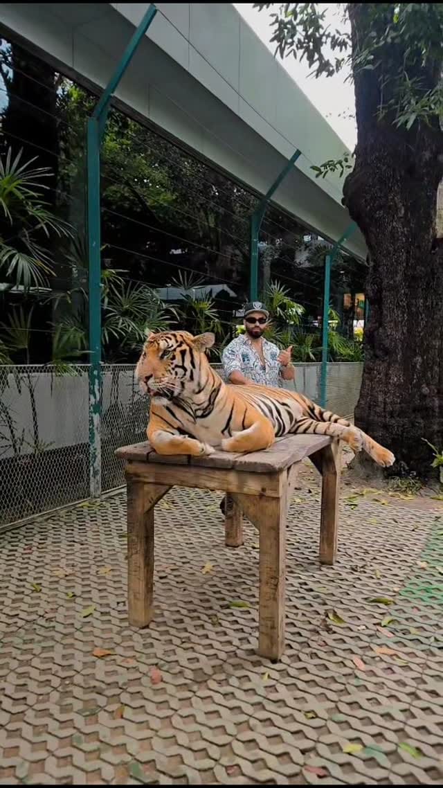 Post 6 by Akshat akshat on Instagram (video)