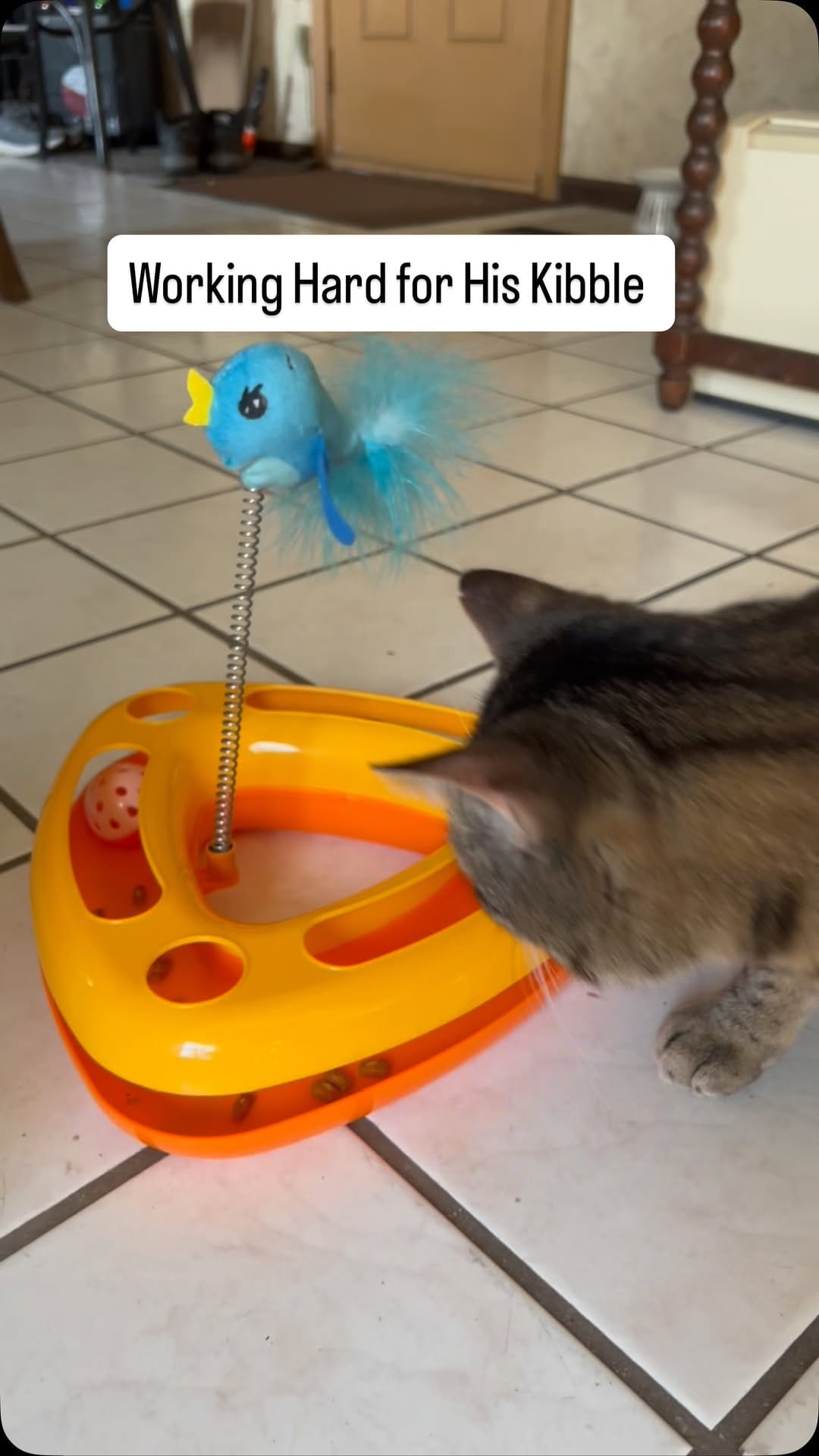 Post 8 by Denise Jordan on Instagram (video)