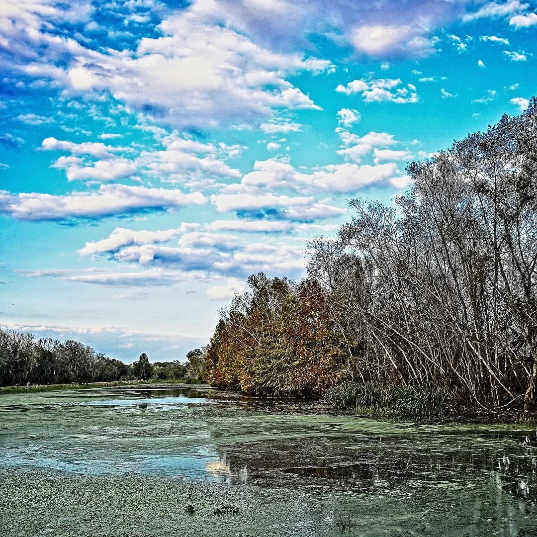 Post 4 by @halara on Instagram (image)