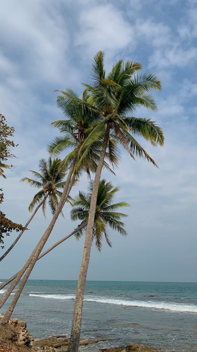 Post 4 by Rhea Shah Nanavati on Instagram (video)