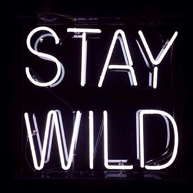 Post 1 by Moni on Instagram (image)